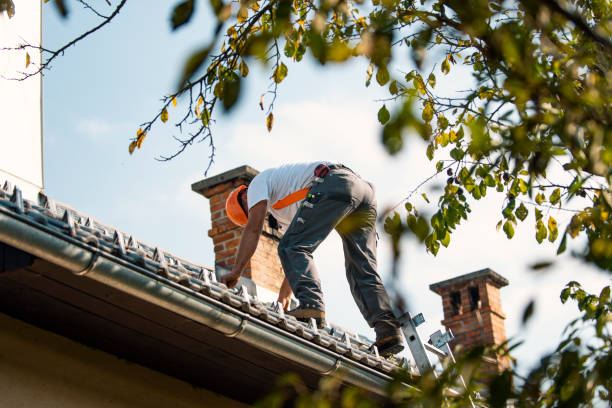 Roof Gutter Cleaning in World Golf Village, FL