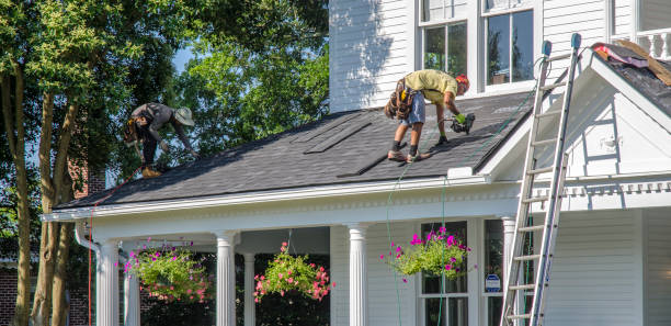 Best Storm Damage Roof Repair  in World Golf Village, FL